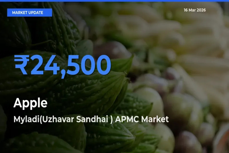 Farmers Prefer Myladi(Uzhavar Sandhai ) APMC as Apple Hits Highest Rate