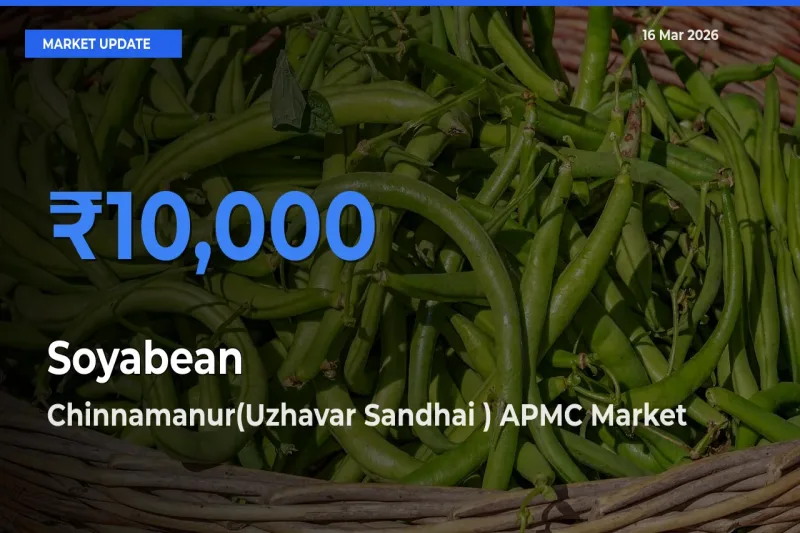 Chinnamanur(Uzhavar Sandhai ) APMC Tops Soyabean Rates – March 16 Market Update