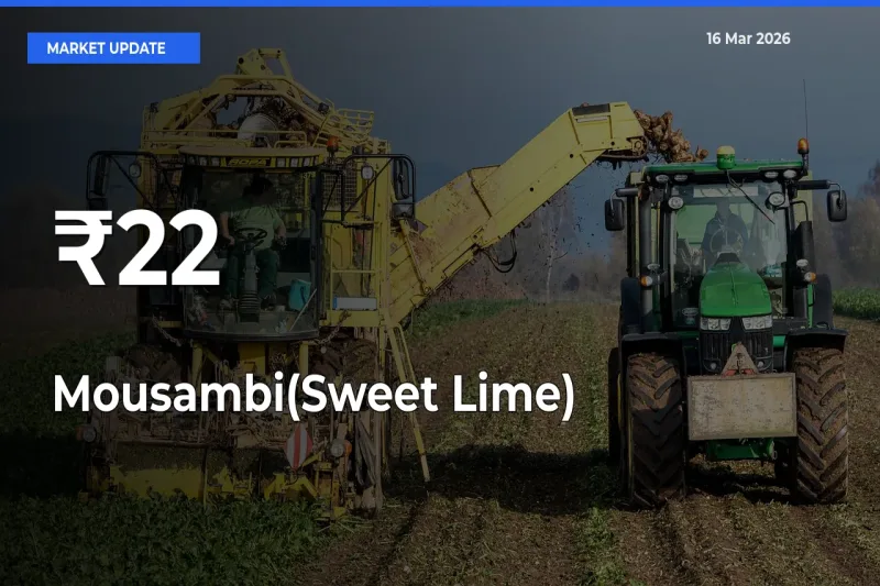 Mousambi(Sweet Lime) Prices Trend Across 22+ Mandis – Market Direction Turns Clear
