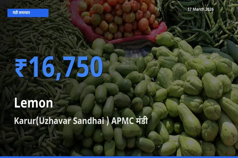 बाज़ार संकेत: Karur(Uzhavar Sandhai ) APMC बना नींबू के लिए आज की टॉप मंडी