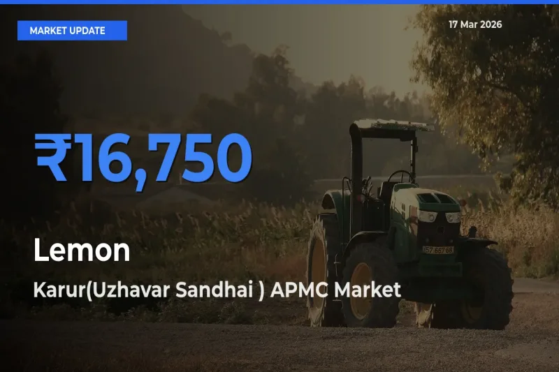 Karur(Uzhavar Sandhai ) APMC Tops Lemon Mandi Rates Today