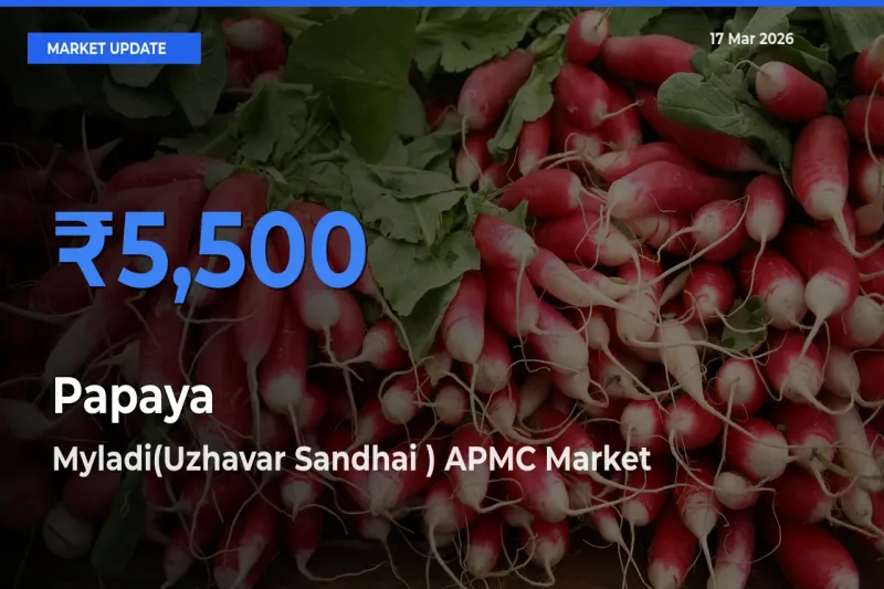 Myladi(Uzhavar Sandhai ) APMC Tops Papaya Mandi Rates Today