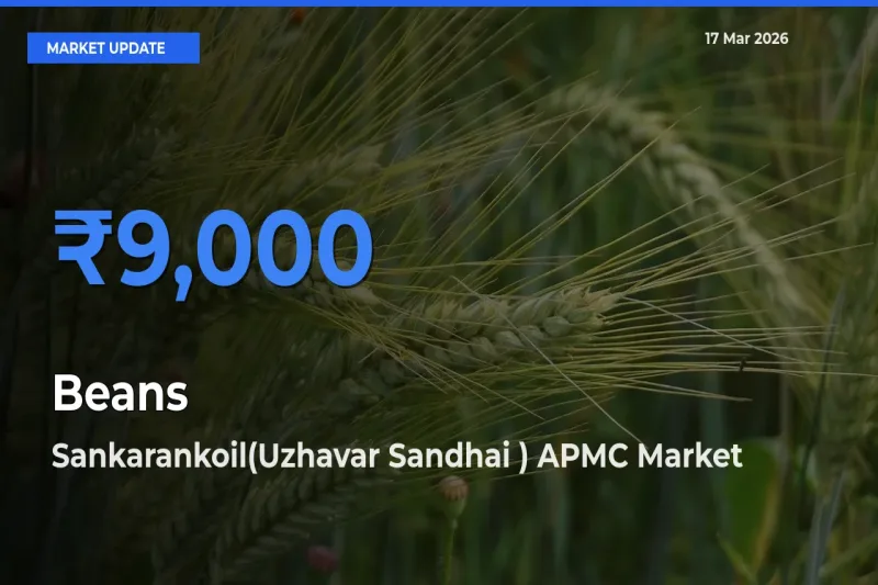 Sankarankoil(Uzhavar Sandhai ) APMC Tops Beans Rates – March 17 Market Update
