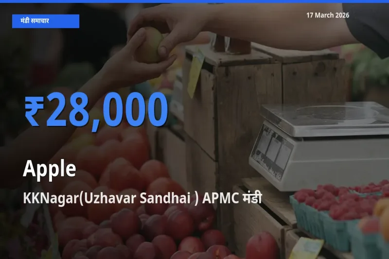 टॉप मंडी बना KKNagar(Uzhavar Sandhai ) APMC! सेब के सबसे ऊँचे दाम यहीं दर्ज