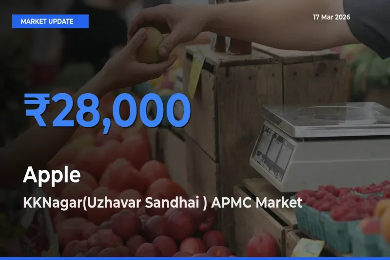 KKNagar(Uzhavar Sandhai ) APMC Records Highest ₹28,000 Rate for Apple