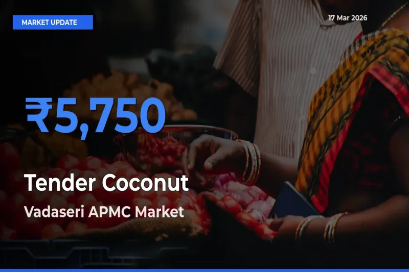 Vadaseri APMC Offers ₹5,750 – Highest Tender Coconut Rate Today