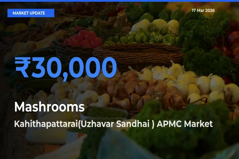 Mashrooms Mandi Rate Today: Kahithapattarai(Uzhavar Sandhai ) APMC Tops the List
