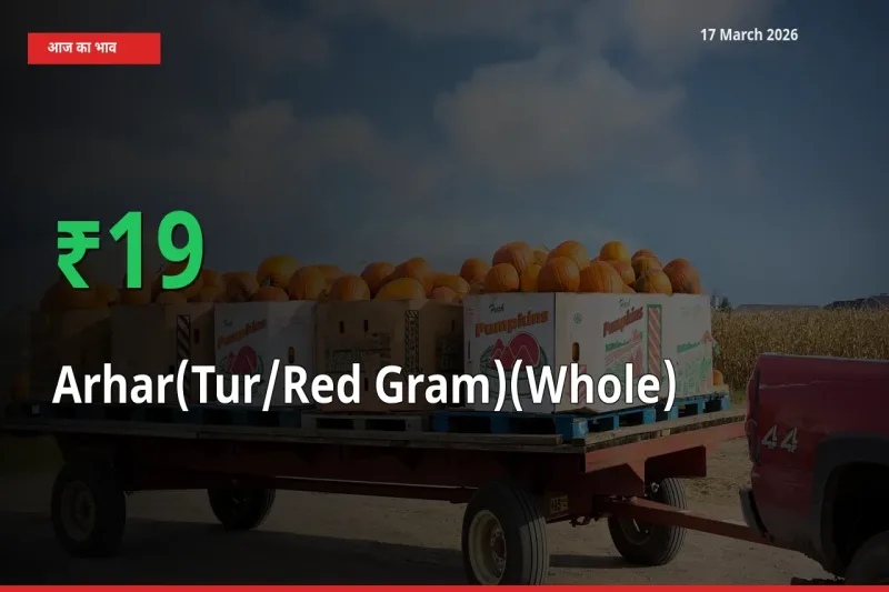 अरहर (साबुत) 19.39% उछला, मंडी
