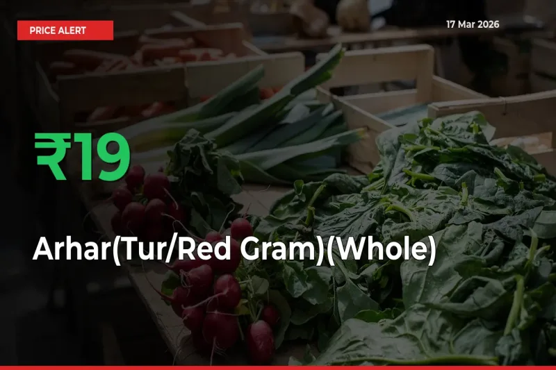 Sharp Jump! Arhar(Tur/Red Gram)(Whole) Prices Climb 19.39% in 24 Hours at Key Mandis