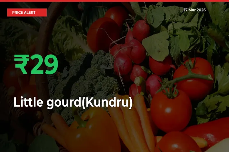 Sharp Jump! Little gourd(Kundru) Prices Climb 28.71% in 24 Hours at Key Mandis