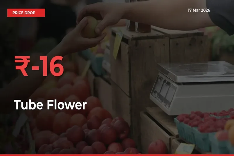 15.71% Drop in Tube Flower Prices – Mandi Sees Sudden Fall