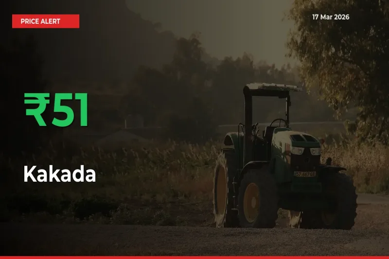 50.87% Spike in Kakada Prices – Mandi Sees Sudden Rally