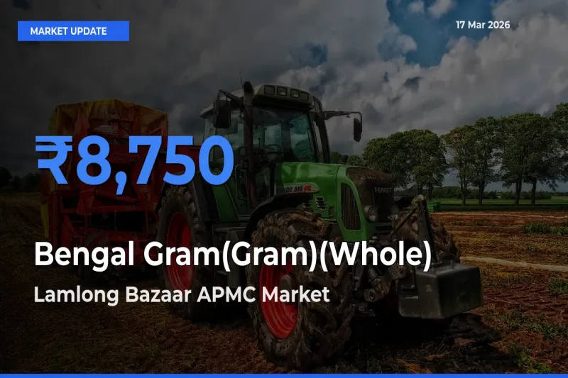 Farmers Prefer Lamlong Bazaar APMC as Bengal Gram(Gram)(Whole) Hits Highest Rate
