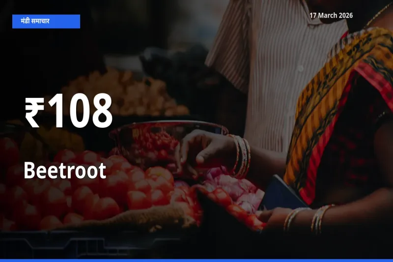 चुकंदर के दाम 108+ मंडियों में बदले, बाज़ार का रुझान स्पष्ट