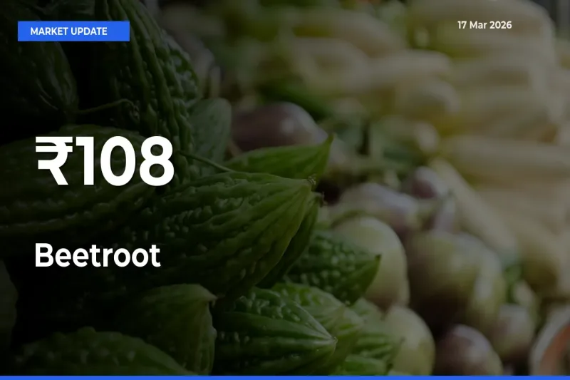 Multi-Mandi Trend Emerges as Beetroot Prices Shift Across Key Markets