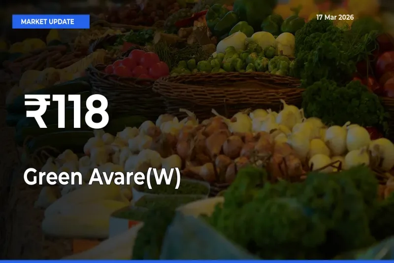 Green Avare(W) Mandi Prices Move in Sync Across Major Markets Today