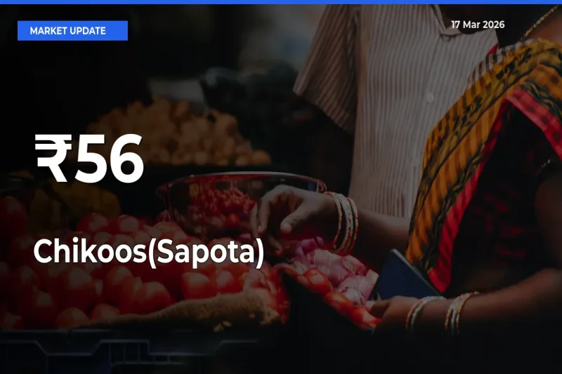 Chikoos(Sapota) Trend Strengthens Across Major Mandis