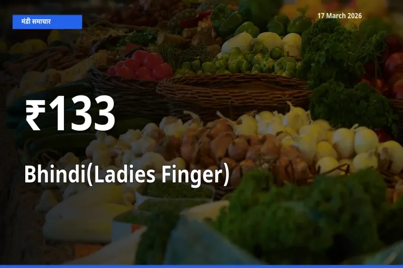 133+ मंडियों में भिंडी के दामों का एक जैसा ट्रेंड