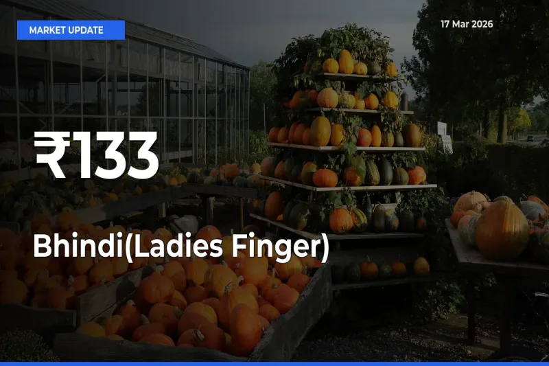 Bhindi(Ladies Finger) Mandi Trend Today: Prices Shift Across Multiple Markets