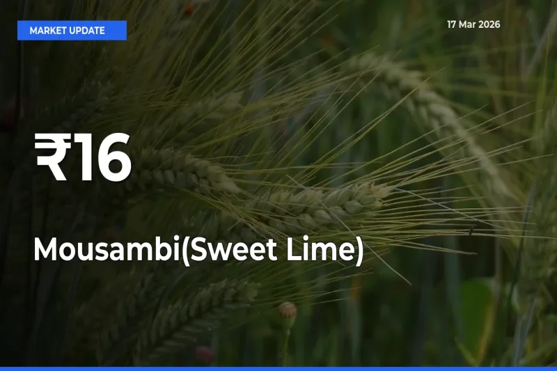 Multi-Mandi Trend Emerges as Mousambi(Sweet Lime) Prices Shift Across Key Markets
