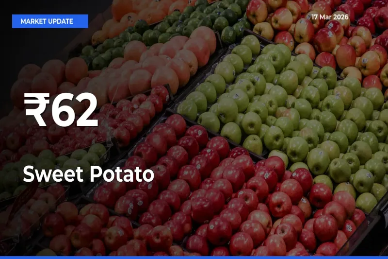 Multi-Mandi Trend Emerges as Sweet Potato Prices Shift Across Key Markets