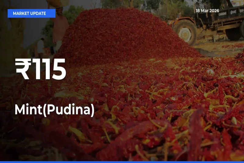 Multi-Mandi Trend Emerges as Mint(Pudina) Prices Shift Across Key Markets