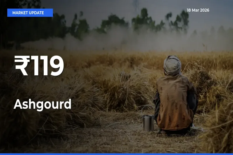 Ashgourd Mandi Prices Move in Sync Across Major Markets Today