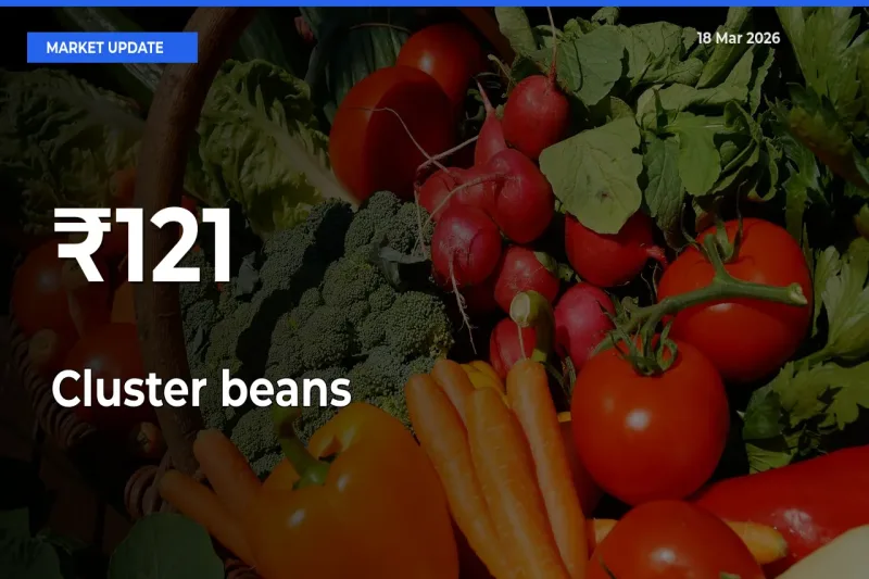 Cluster beans Mandi Prices Move in Sync Across Major Markets Today