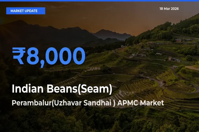 Perambalur(Uzhavar Sandhai ) APMC Tops Indian Beans(Seam) Rates – March 18 Market Update