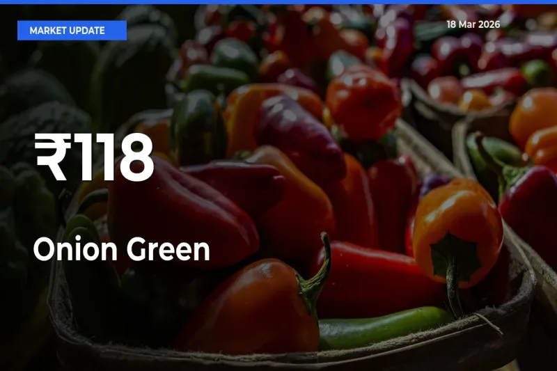 Onion Green Trend Strengthens Across Major Mandis