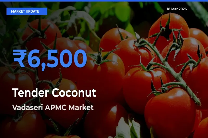 Vadaseri APMC Leads as Top Mandi for Tender Coconut Prices