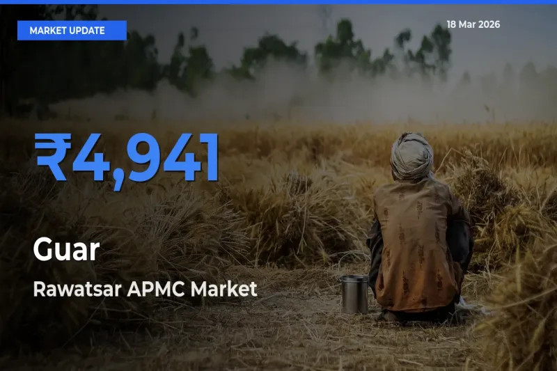 Rawatsar APMC Emerges as Top Mandi for Guar Prices Today