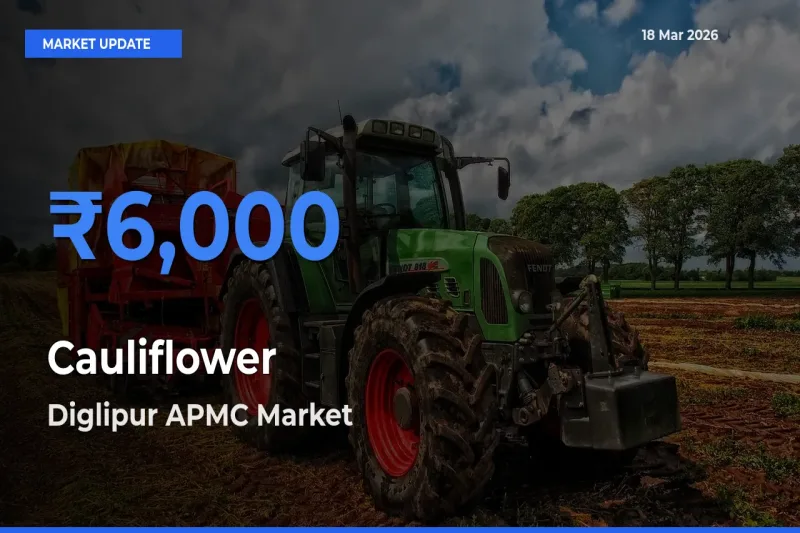 Diglipur APMC Records Highest ₹6,000 Rate for Cauliflower