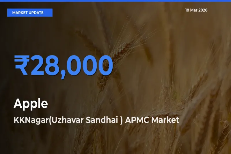 KKNagar(Uzhavar Sandhai ) APMC Tops Apple Mandi Rates Today