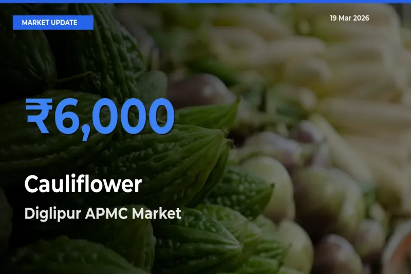 Farmers Prefer Diglipur APMC as Cauliflower Hits Highest Rate