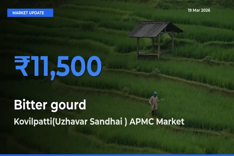 Kovilpatti(Uzhavar Sandhai ) APMC Emerges as Top Mandi for Bitter gourd Prices Today