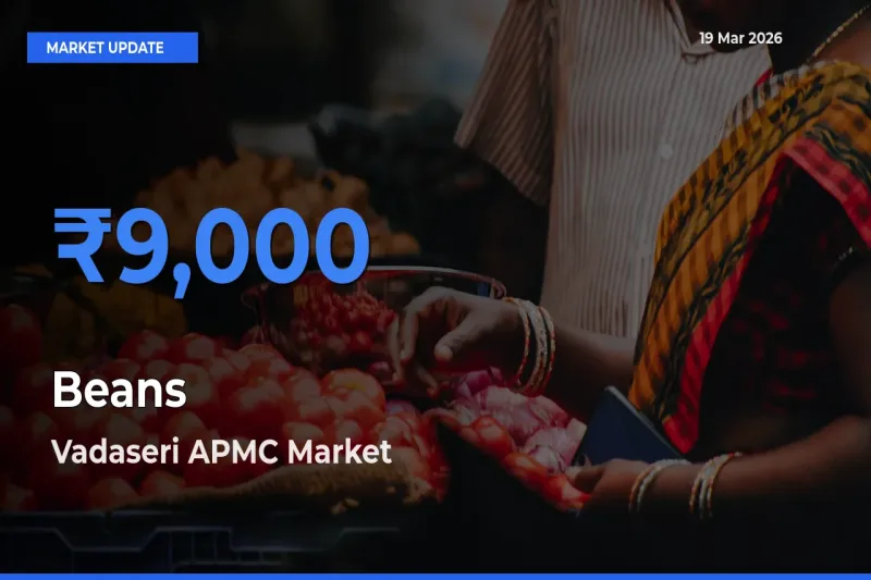 Top Performer! Vadaseri APMC Offers Best Beans Price Today