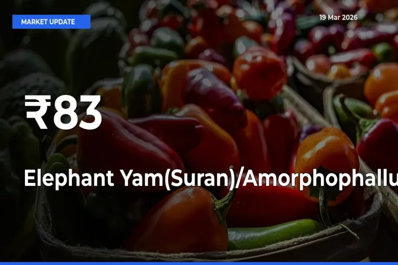 Elephant Yam(Suran)/Amorphophallus Rates Show Broad Movement Across 83+ Mandis