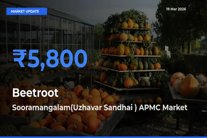 Market Watch: Sooramangalam(Uzhavar Sandhai ) APMC Becomes Top Mandi for Beetroot