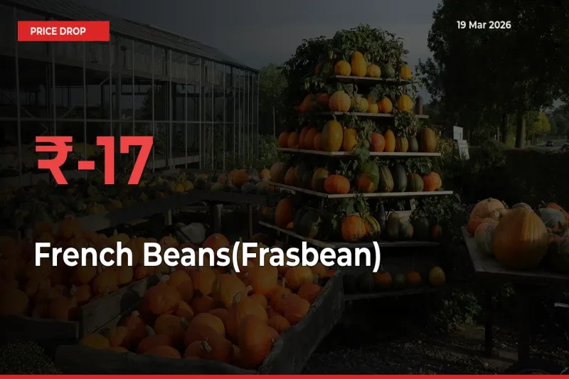 French Beans(Frasbean) Mandi Rate Today: Prices Fall 16.57% at Market