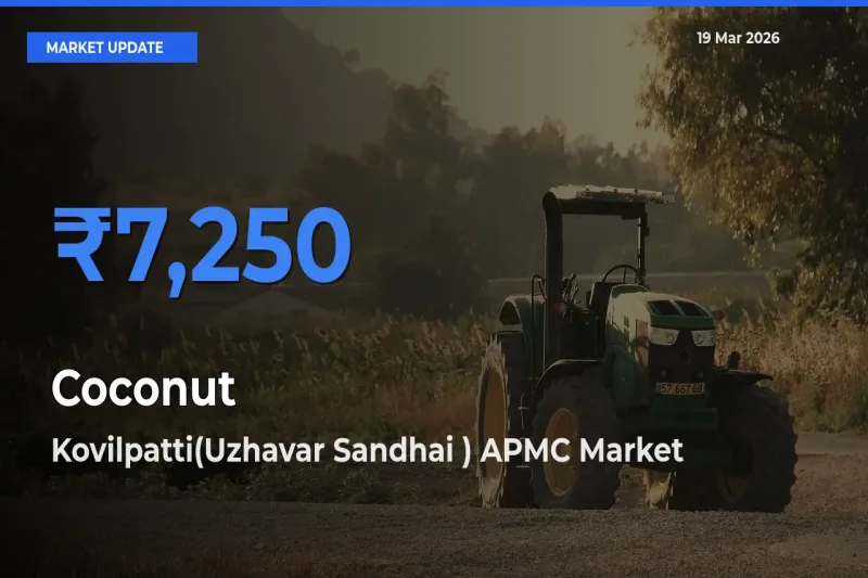 Farmers Prefer Kovilpatti(Uzhavar Sandhai ) APMC as Coconut Hits Highest Rate