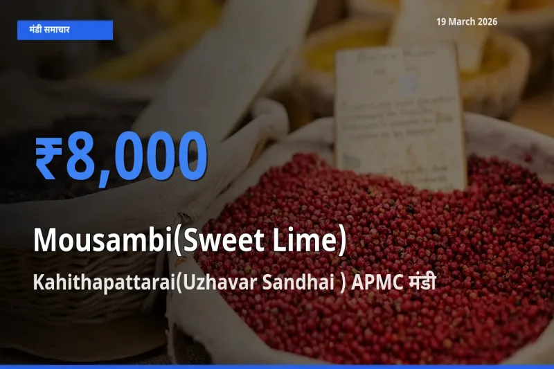 Kahithapattarai(Uzhavar Sandhai ) APMC में मौसंबी का आज सबसे ऊँचा भाव