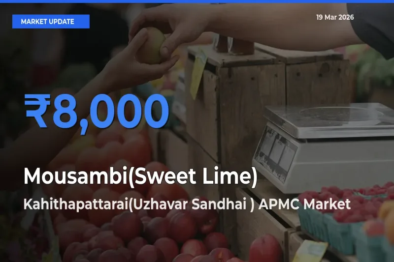 Kahithapattarai(Uzhavar Sandhai ) APMC Tops Mousambi(Sweet Lime) Rates – March 19 Market Update
