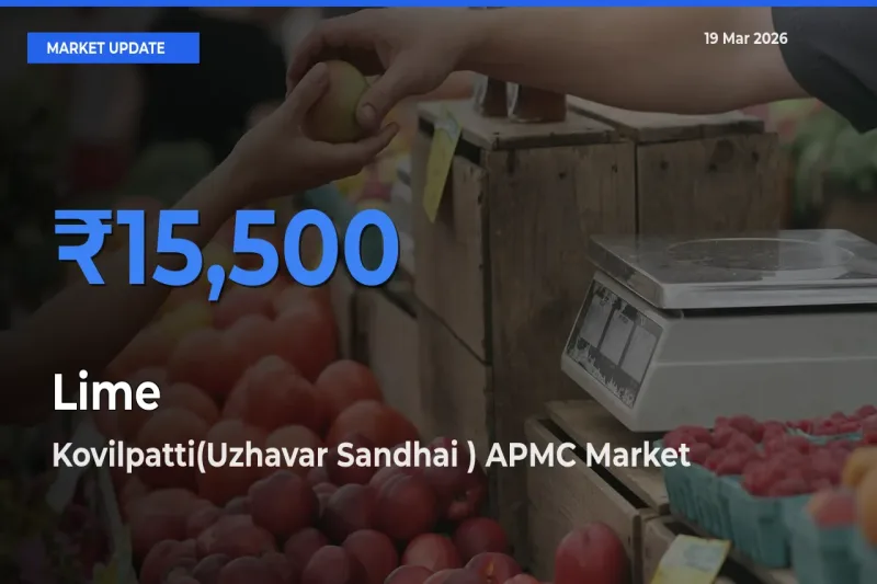 Kovilpatti(Uzhavar Sandhai ) APMC Records Highest ₹15,500 Rate for Lime