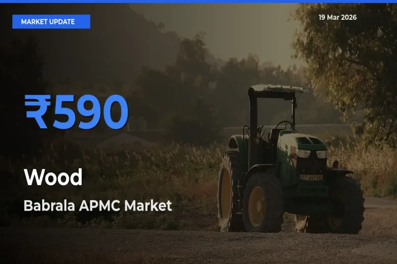 Wood Mandi Rate Today: Babrala APMC Tops the List