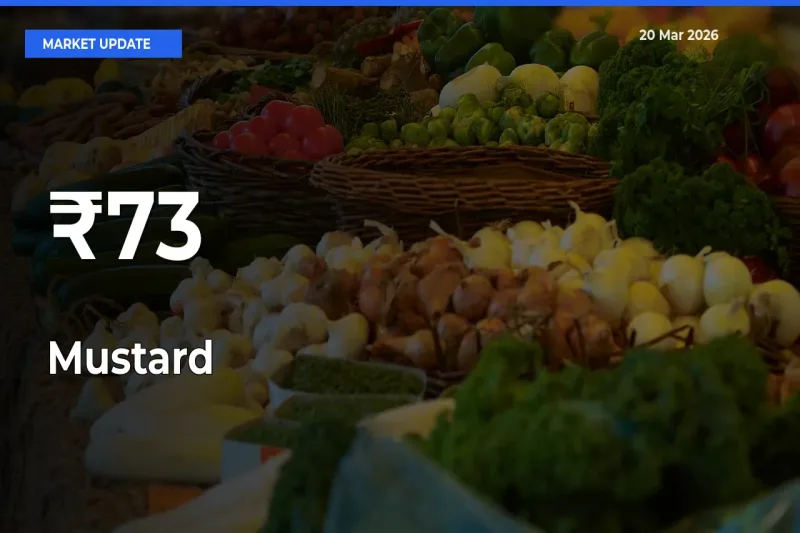 Mustard Shows Strong Mandi Trend – March 20 Market Update
