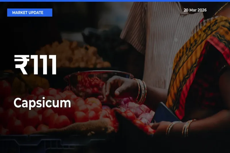 Strong Trend in Capsicum Rates Across Multiple Mandis – What It Means for Traders