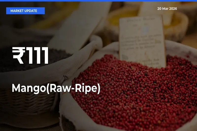 Mango(Raw-Ripe) Trend Strengthens Across Major Mandis