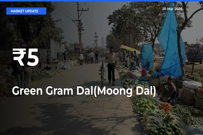Green Gram Dal(Moong Dal) Prices Trend Across 5+ Mandis – Market Direction Turns Clear