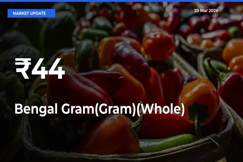 Bengal Gram(Gram)(Whole) Prices Trend Across 44+ Mandis – Market Direction Turns Clear